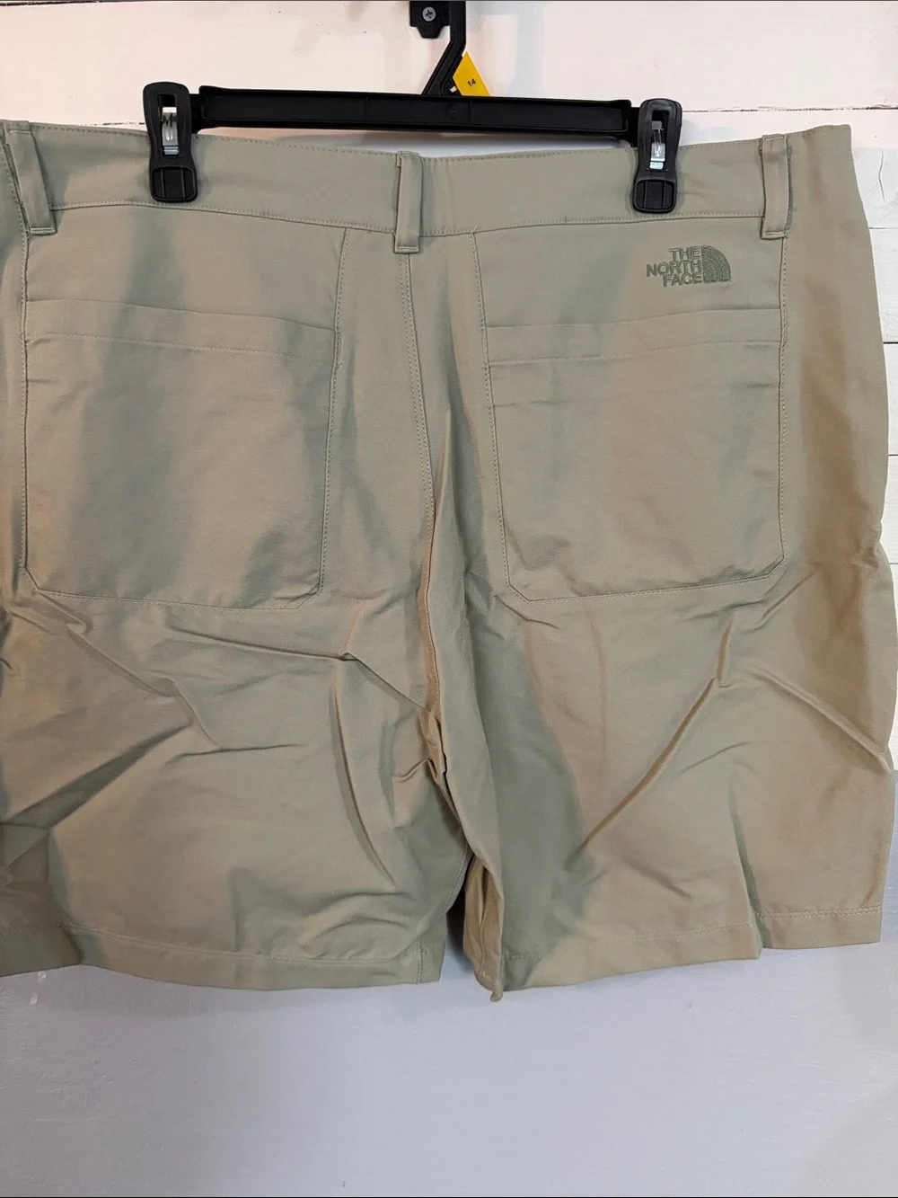 The North Face Men's Light green Flat Front Shorts